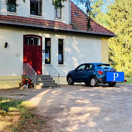 Ferienwohnung Villa Am Haussee Feldberger Seenlandschaft Buitenkant foto
