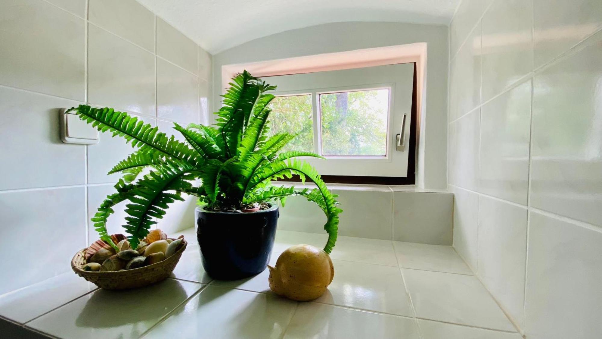 Ferienwohnung Villa Am Haussee Feldberger Seenlandschaft Buitenkant foto